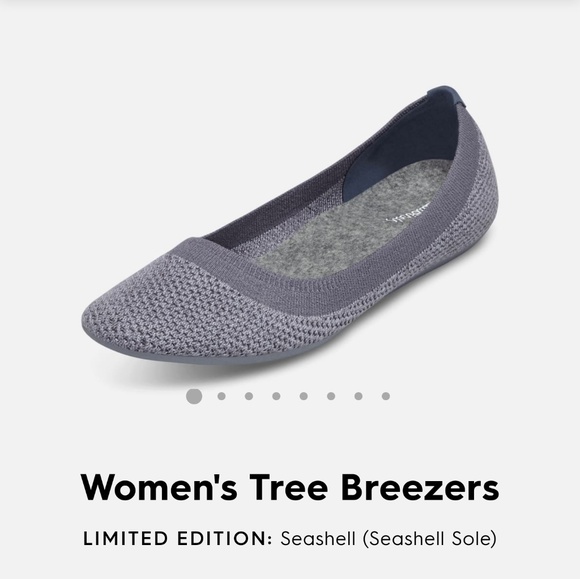 allbirds ballet flats